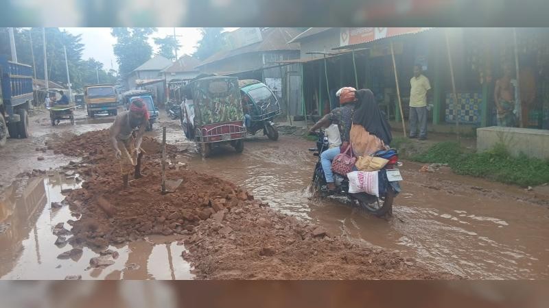 নাগরপুরে বিএনপি নেতার উদ্যোগে রাস্তা সংস্কার