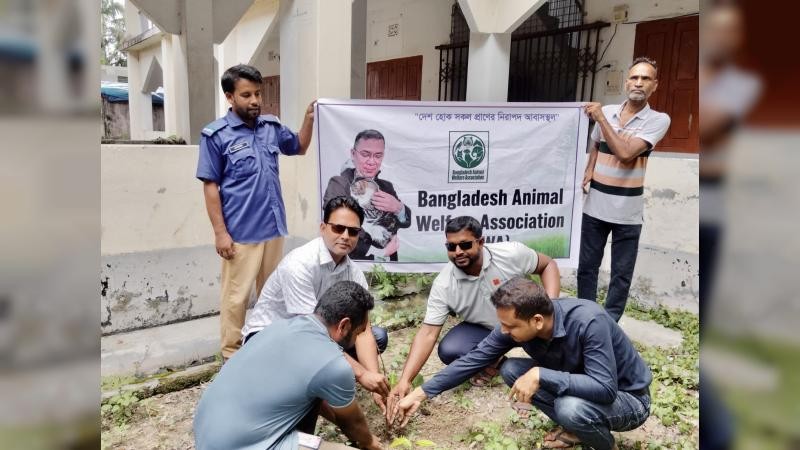 নাটোরে বাওয়া'র উদ্যোগে বৃক্ষরোপন কর্মসূচি