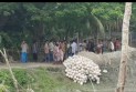 বঙ্গোপসাগরে ট্রলারডুবি: নিখোঁজ ৫ জেলের মরদেহ উদ্ধার