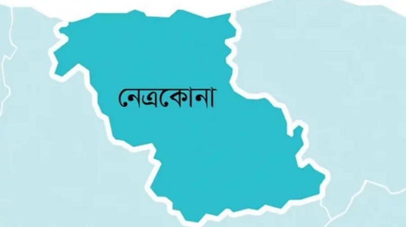 নেত্রকোনার খালিয়াজুরীতে বিলীন হচ্ছে দেশীয় মাছ: হুমকিতে ১৫ হাজার জেলের জীবন ও জীবিকা