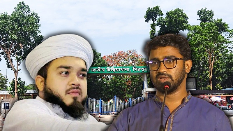 এমপি হানজালা অদ্ভুত প্রাণী, তাকে টিকিট কেটে দেখার জন্য চিড়িয়াখানায় রাখার দাবি রাশেদ খানের