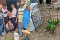 ক্রেতা সেজে অভিনব কায়দায় টিয়াপাখি জব্দ বন বিভাগের