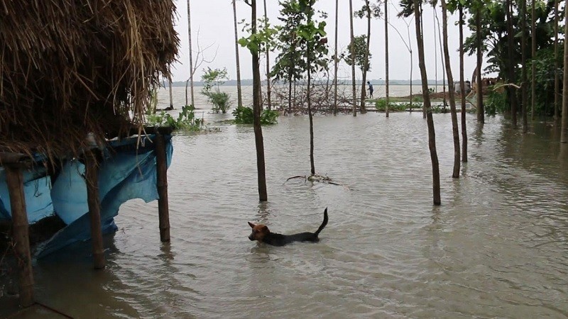 বন্যা নিয়ে ৯ জেলায় বিশেষ সতর্কবার্তা