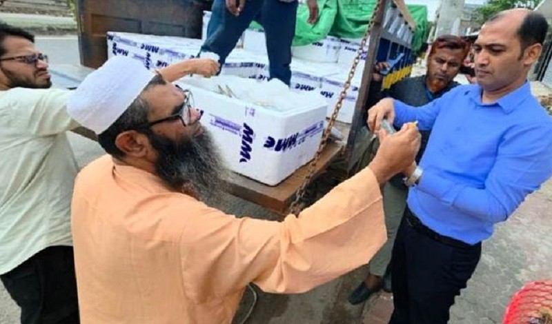 ভারতে গেল দ্বিতীয় চালানে ১৮ মেট্রিক টন ইলিশ