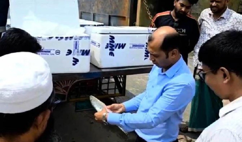 দুর্গাপূজা উপলক্ষে ভারতে ৮ দিনে গেল ১০২ মেট্রিকটন ইলিশ