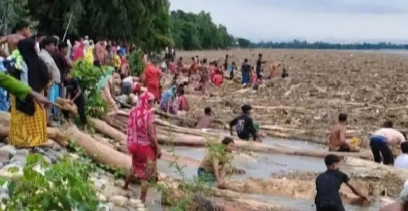 'ভারত থেকে' দুধকুমার নদীতে ভেসে আসছে হাজার হাজার গাছের গুঁড়ি