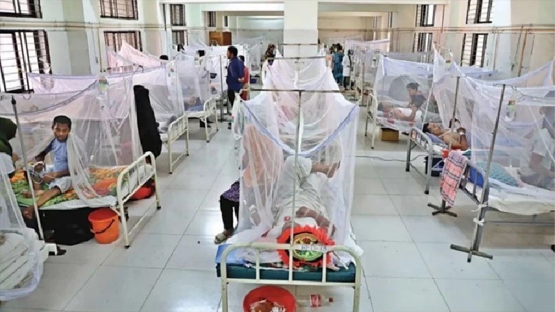 ডেঙ্গুতে আরও ৪ জনের মৃত্যু, হাসপাতালে ভর্তি ৭৮১