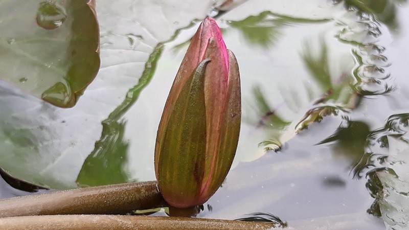 Massaj terapevtlari haqida porno