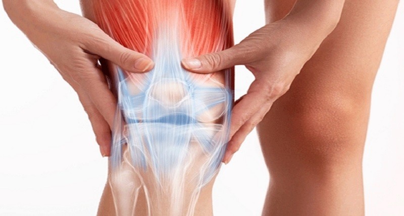 হাড় শক্তিশালী রাখতে প্রয়োজনীয় কিছু খাবার