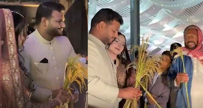 ছাত্রদল নেতার বিয়েতে ফুলের বদলে ধানের শীষ পেলো অতিথিরা