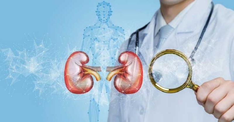 ডায়ালাইসিস ছাড়াই যেভাবে সুস্থ হবেন কিডনি রোগীরা