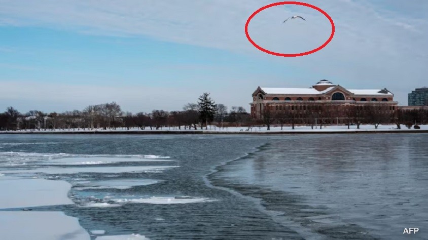 যুক্তরাষ্ট্রের আকাশে রহস্যময় ড্রোন, ঝুঁকিতে মার্কিন ২ মন্ত্রী