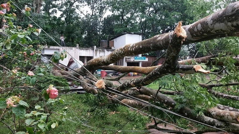আগামী দুইদিন ৮ বিভাগেই কালবৈশাখী ঝড়ের শঙ্কা