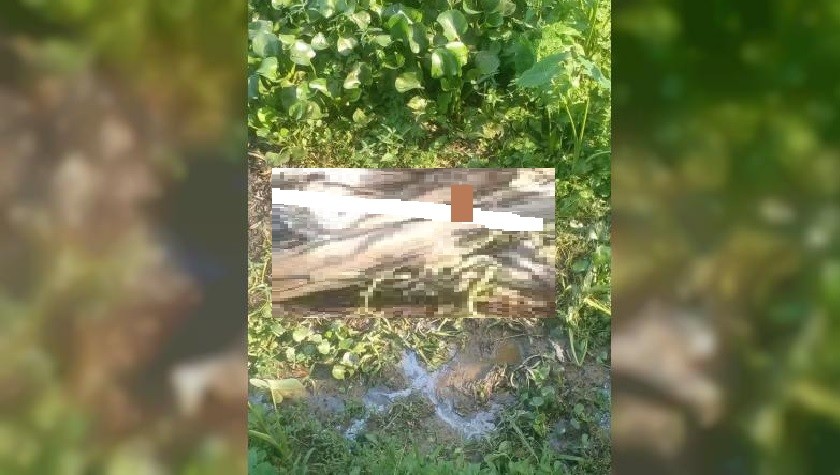 সুনামগঞ্জে ডোবা থেকে অজ্ঞাত ব্যক্তির লাশের কঙ্কাল উদ্ধার