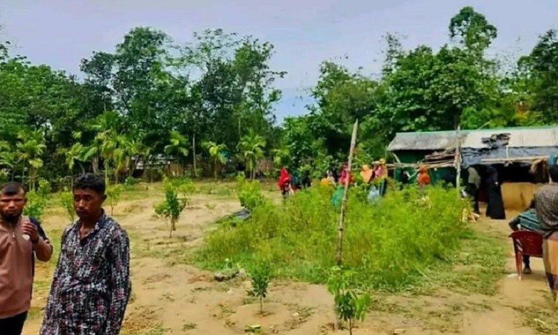 বন্য হাতির আক্রমণে ঘুমন্ত মা-মেয়ের মৃত্যু
