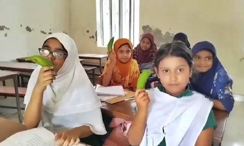 টিফিনে শিক্ষার্থীদের কাঁচা কলা, বরখাস্ত হলেন শিক্ষিকা