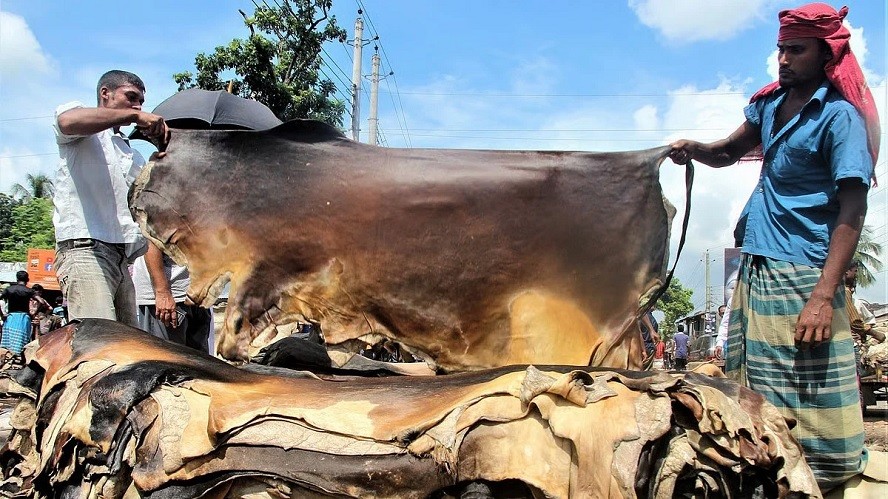 কোরবানির চামড়া নিয়ে বিশেষ উদ্যোগ নিল সরকার 