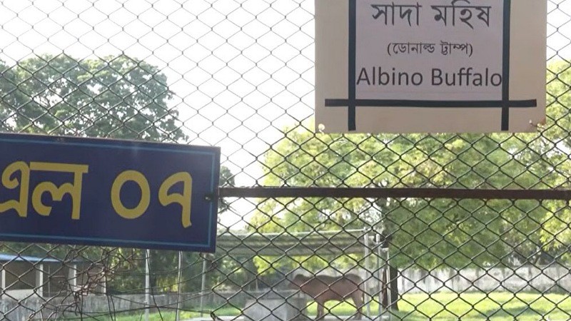 ‘ডোনাল্ড ট্রাম্প’ বানান ভুল লিখে ভাইরাল চিড়িয়াখানা কর্তৃপক্ষ