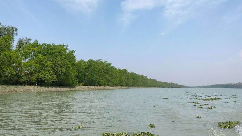 ৩ মাসের জন্য বন্ধ সুন্দরবন