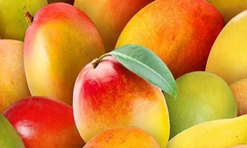 ভালো আম চেনার সহজ উপায়