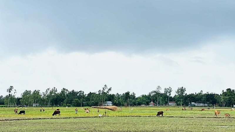 সারাদেশের ভূমি মালিকদের জন্য জরুরি নির্দেশনা