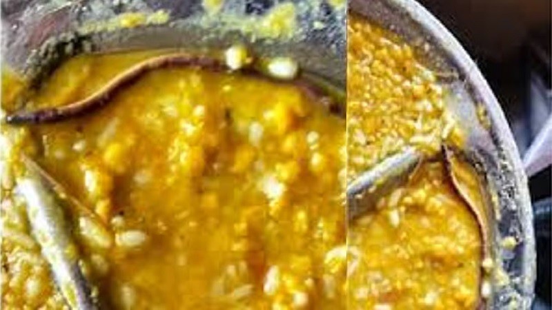 ভারতে শিক্ষার্থীদের মিড-ডে মিলে সাপের বাচ্চা, হাসপাতালে দেড়শতাধিক শিক্ষার্থী
