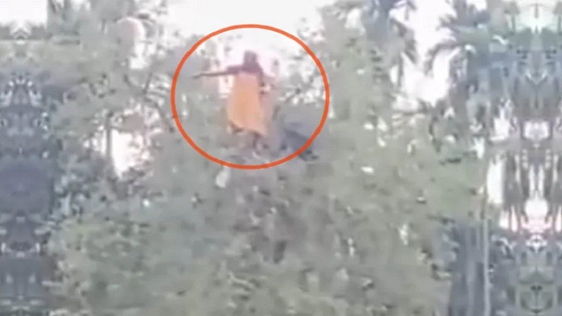 নিখোঁজ বৃদ্ধাকে পাওয়া গেল তেঁতুলগাছের মগডালে