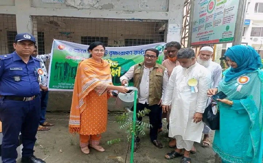 বেলকুচিতে বৃক্ষরোপণ কর্মসূচি অনুষ্ঠিত