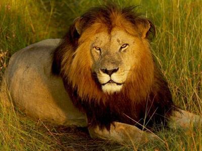 Qanday qilib ayol sperma bilan tola vannada yuvilgan